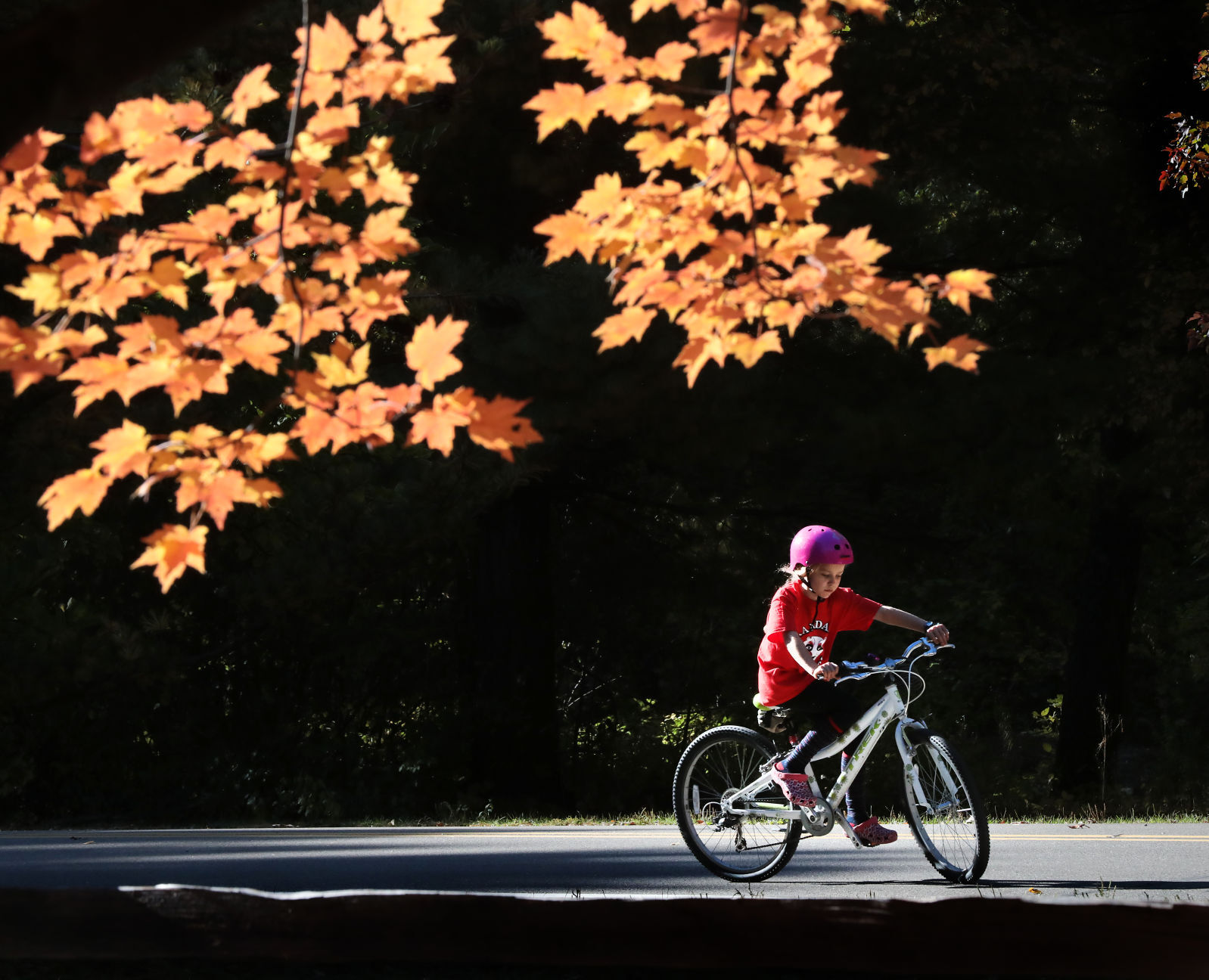 AUTUMN RIDE (copy)